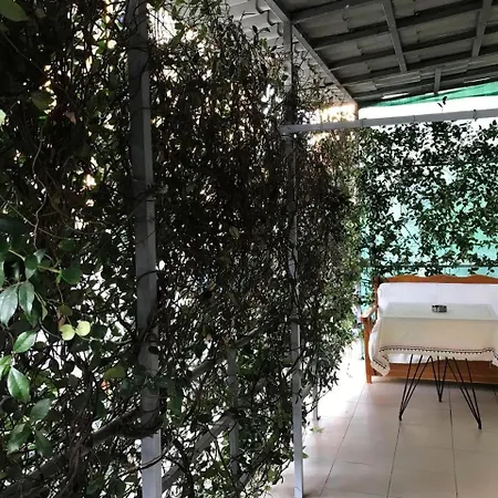 Blossom Balcony Τίρανα